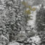 Snowfall covers Boulder Creek near Nederland, Colorado. Credit: Helen H. Richardson/The Denver Post via Getty Images