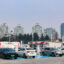 An electric vehicle charging station in Qingdao, Shandong Province, China. Credit: Costfoto/NurPhoto via Getty Images